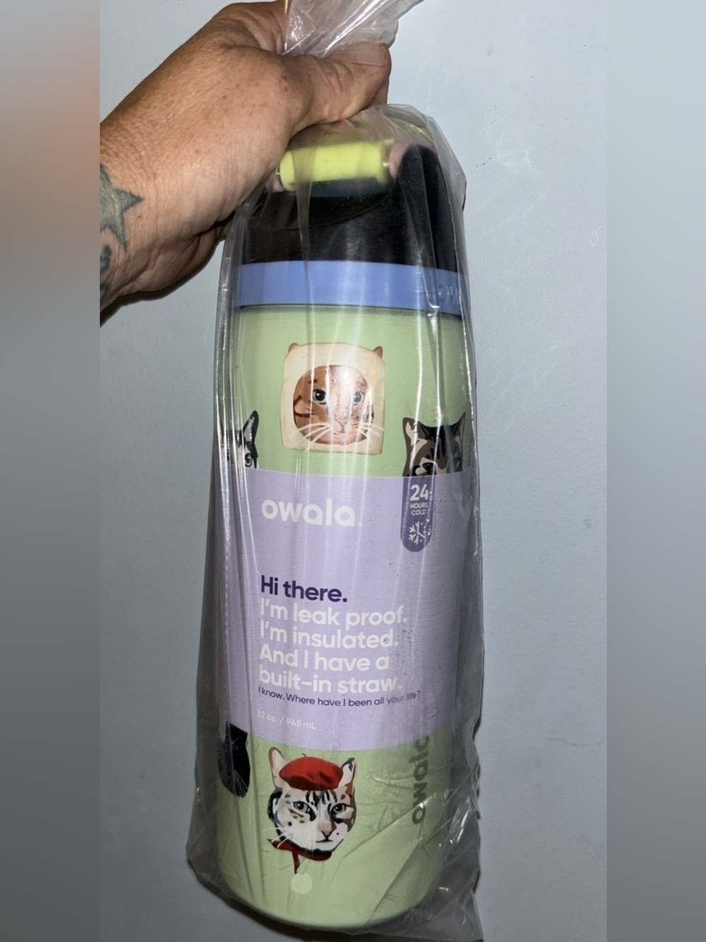 Owala Insulated Cat Print Water Bottle - Mint